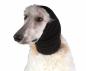 Preview: Show Tech Ear Buddy (Ohrenschutz)